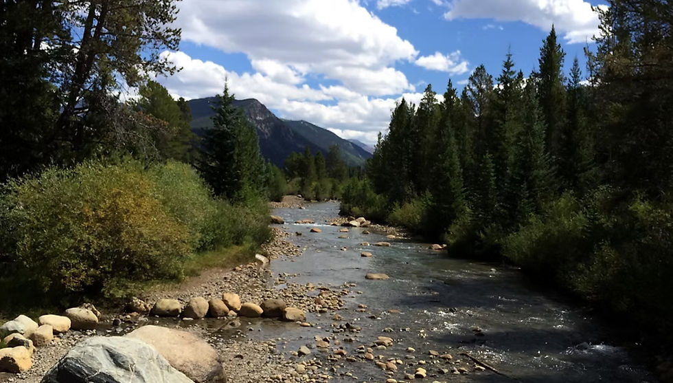 Excursiones de Ave María
